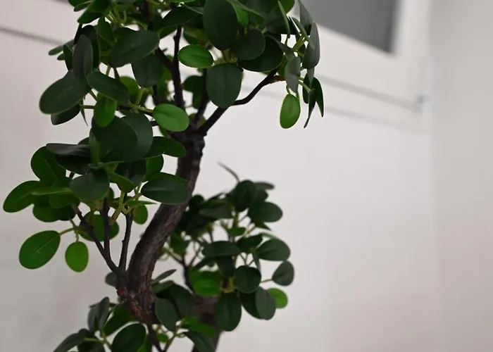 Al Guiscardo 8 Frühstückspension