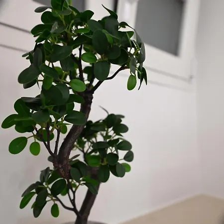 Al Guiscardo 8 Nocleg ze śniadaniem